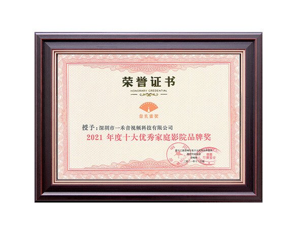 2021年度十大優(yōu)秀家庭影院品牌獎